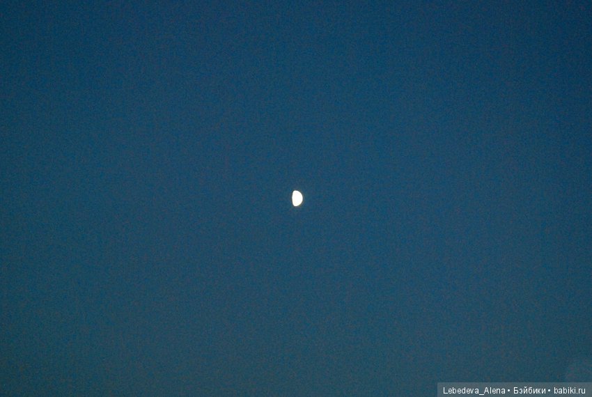 Катание на льду | Бэйбики Катание на льду — Куклы Iplehouse (Иплхаус): BJD (БЖД)