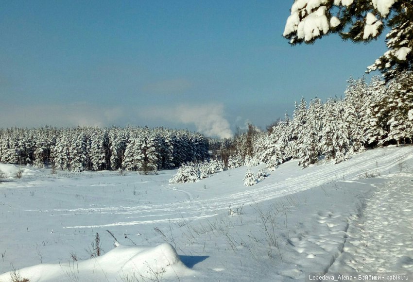 Зима и птички — Болталка и разговоры обо всем: жизнь