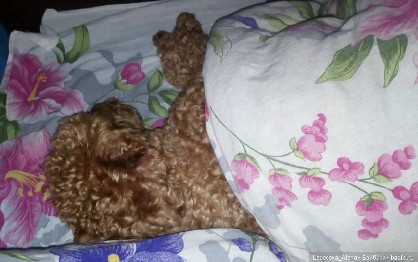 Зима и птички — Болталка и разговоры обо всем: жизнь (фото 7)