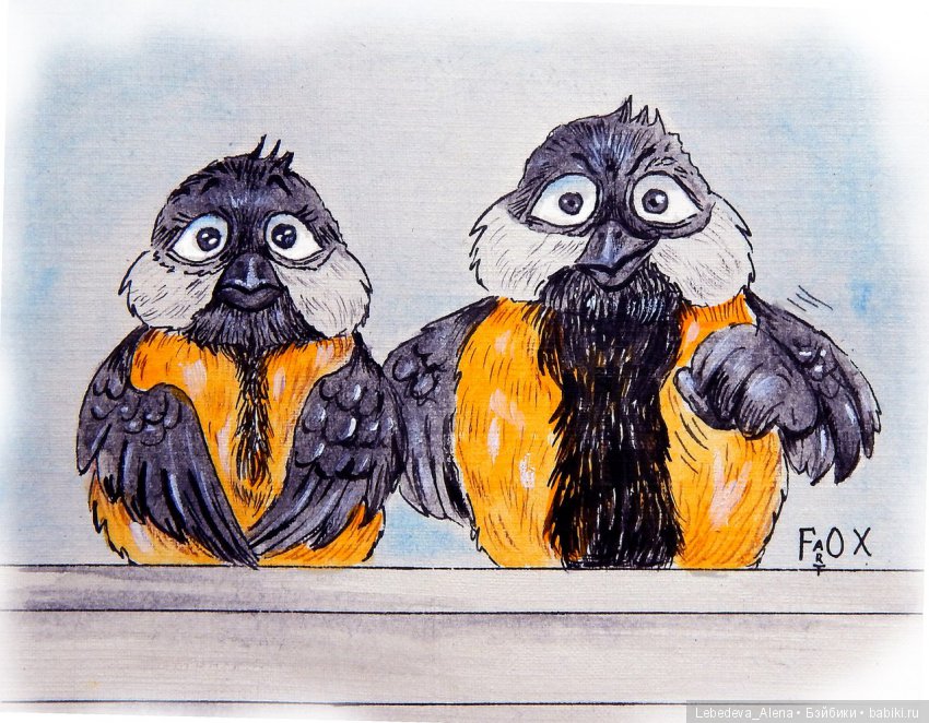 Зима и птички — Болталка и разговоры обо всем: жизнь (фото 9)