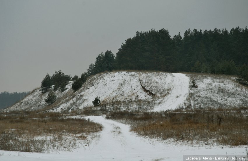 Зимняя история — Куклы Iplehouse (Иплхаус): BJD (БЖД) (фото 3)