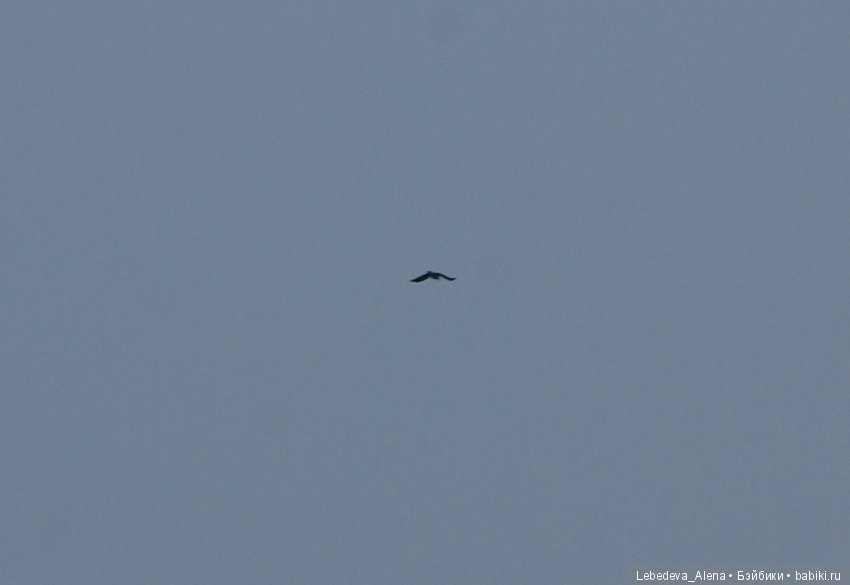 Зимняя история — Куклы Iplehouse (Иплхаус): BJD (БЖД)