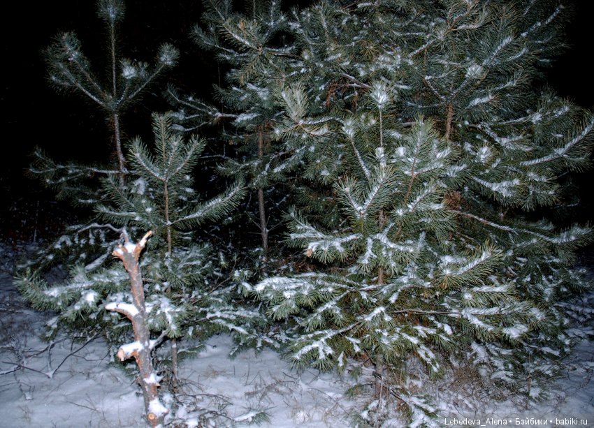 Зимняя история — Куклы Iplehouse (Иплхаус): BJD (БЖД)