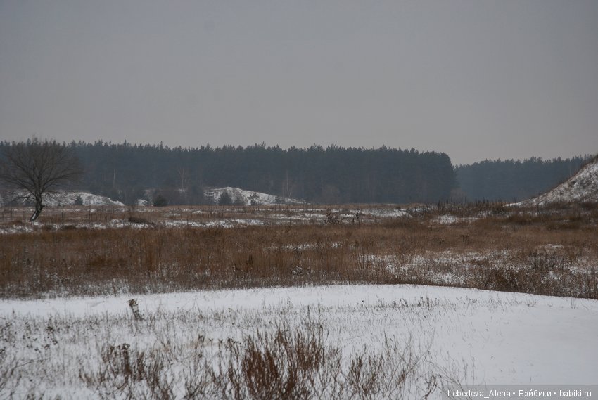 Зимняя история — Куклы Iplehouse (Иплхаус): BJD (БЖД) (фото 4)