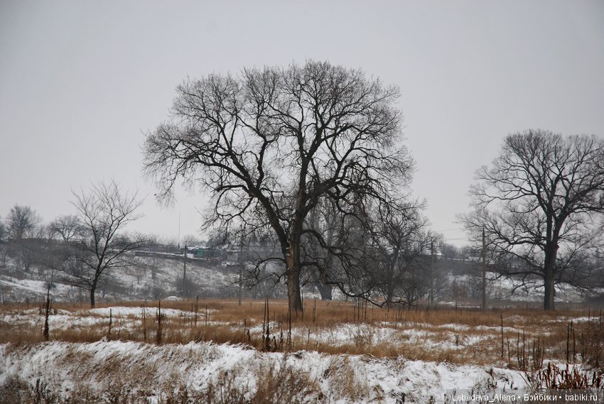 Зимняя история — Куклы Iplehouse (Иплхаус): BJD (БЖД) (фото 2)