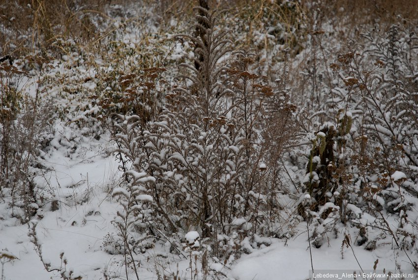 Зимняя история — Куклы Iplehouse (Иплхаус): BJD (БЖД) (фото 6)