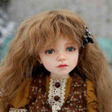 Зимняя история