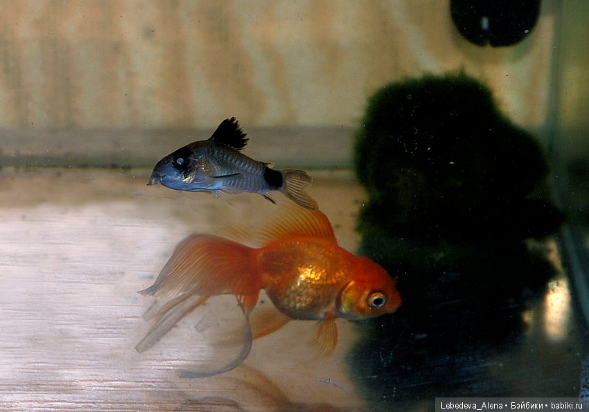 Работаю. Процессы — ООАК и репейнт игровых кукол: Bratz (фото 8)