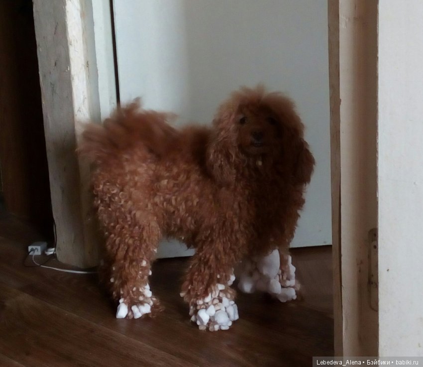 С весной | Бэйбики С весной — Болталка и разговоры обо всем: жизнь