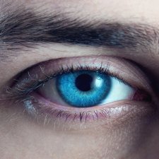 "Птица межмирья", конец