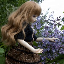 Сирень расцвела