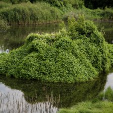 Местность, в которой живу