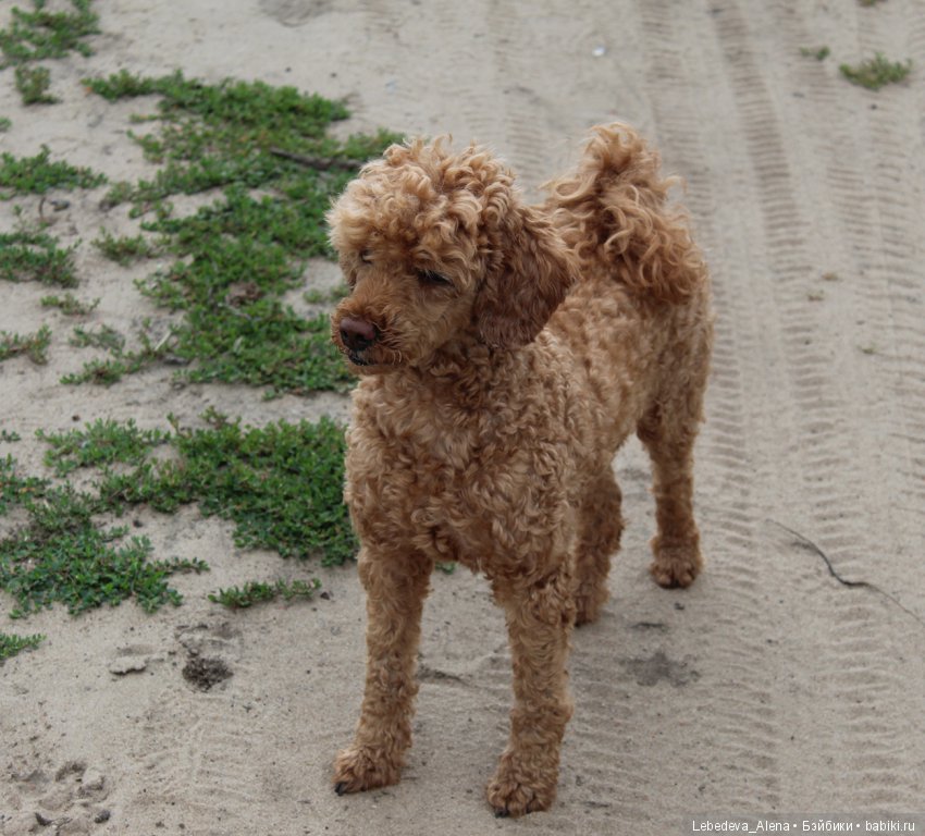 Тестирование зеркалки — Болталка и разговоры обо всем: жизнь (фото 4)