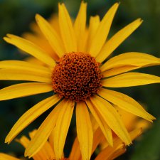 Тестирование зеркалки