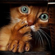 Ожидание - штука нервная