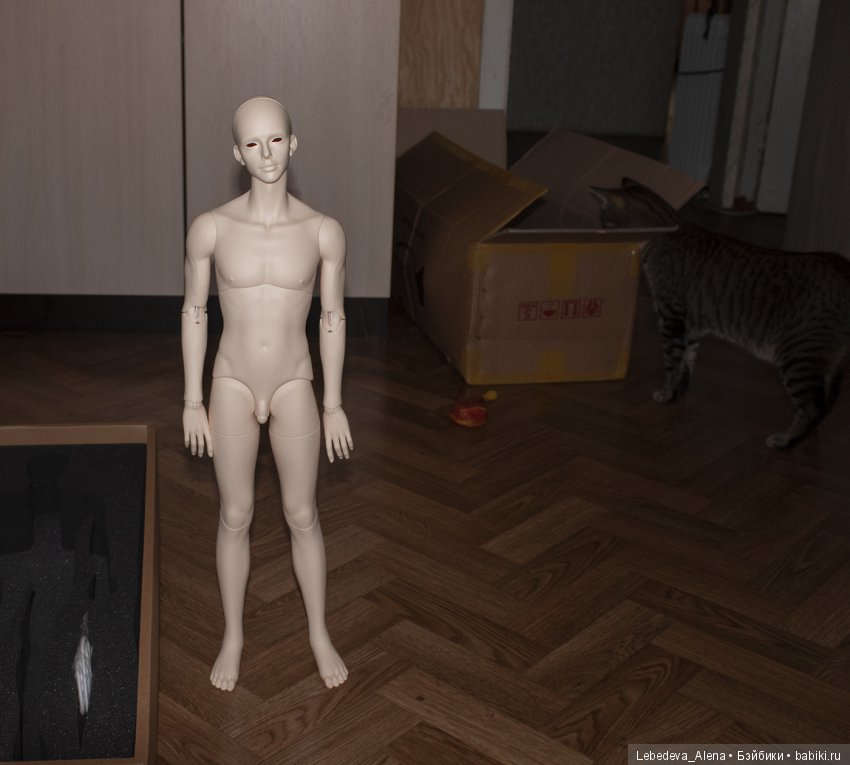 Церемония вручения Оскара | Бэйбики Церемония вручения Оскара (фото 7)