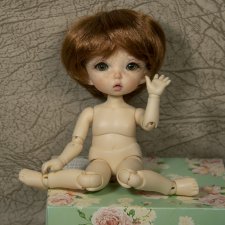 Любовь негаданно нагрянет или как у меня появился пукифи