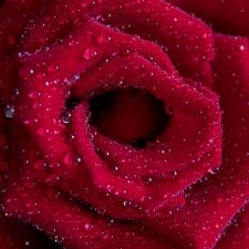 Как я отмечала день рождения