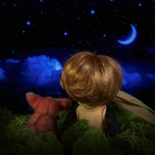 Эльфячьи зарисовки. Маленький принц