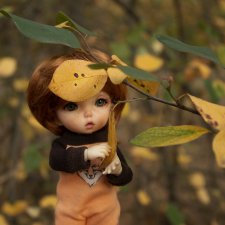 Эльфячьи зарисовки. Осень и много нового