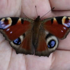 Осенние зарисовки