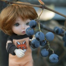 Яблочко от яблоньки