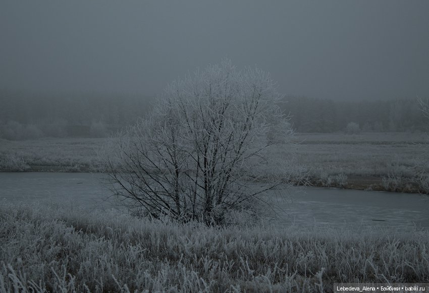 Декабрьская история от Марты (фото 3)