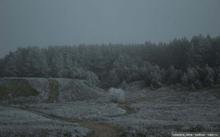 Декабрьская история от Марты (фото 5)
