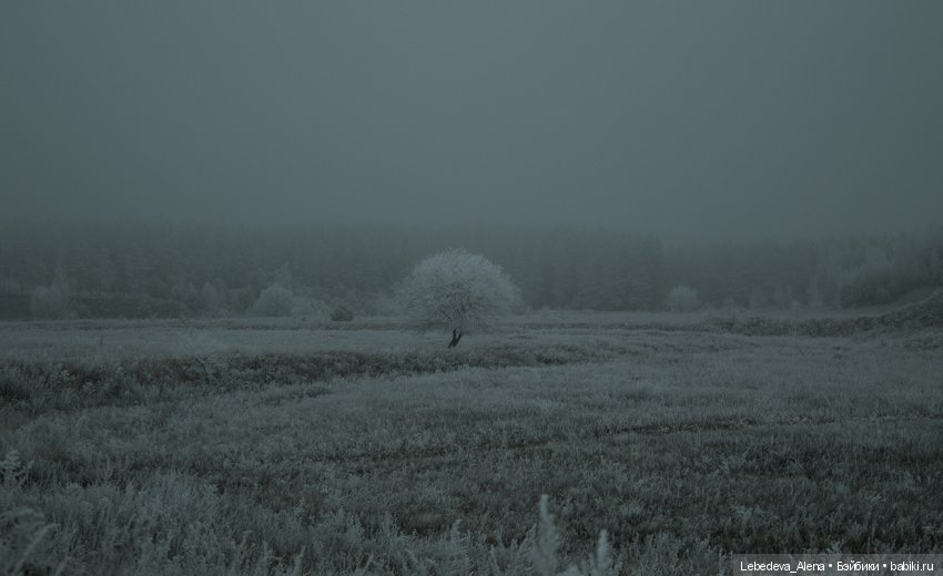 Декабрьская история от Марты (фото 4)