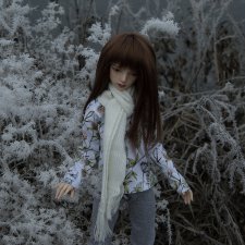 Декабрьская история от Марты