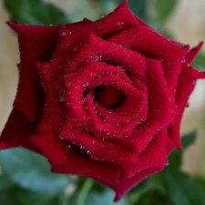 Постконкурс