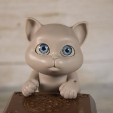 О бедной кошечке замолвите слово