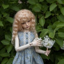 Самый любимый девичек