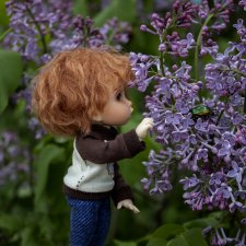 Эльфы тоже хотят гулять