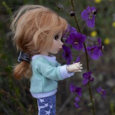 Эльфы тоже хотят гулять 2. Лилу