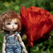 Яшка, эльф рыжий, любимый