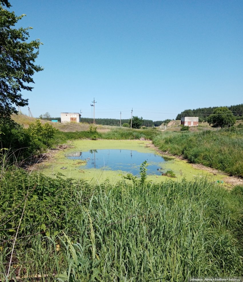 Яхонтовый ты мой — Куклы Fairyland (ФэйриЛэнд): BJD (БЖД) (фото 4)