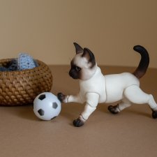 Оззи, ипл мява