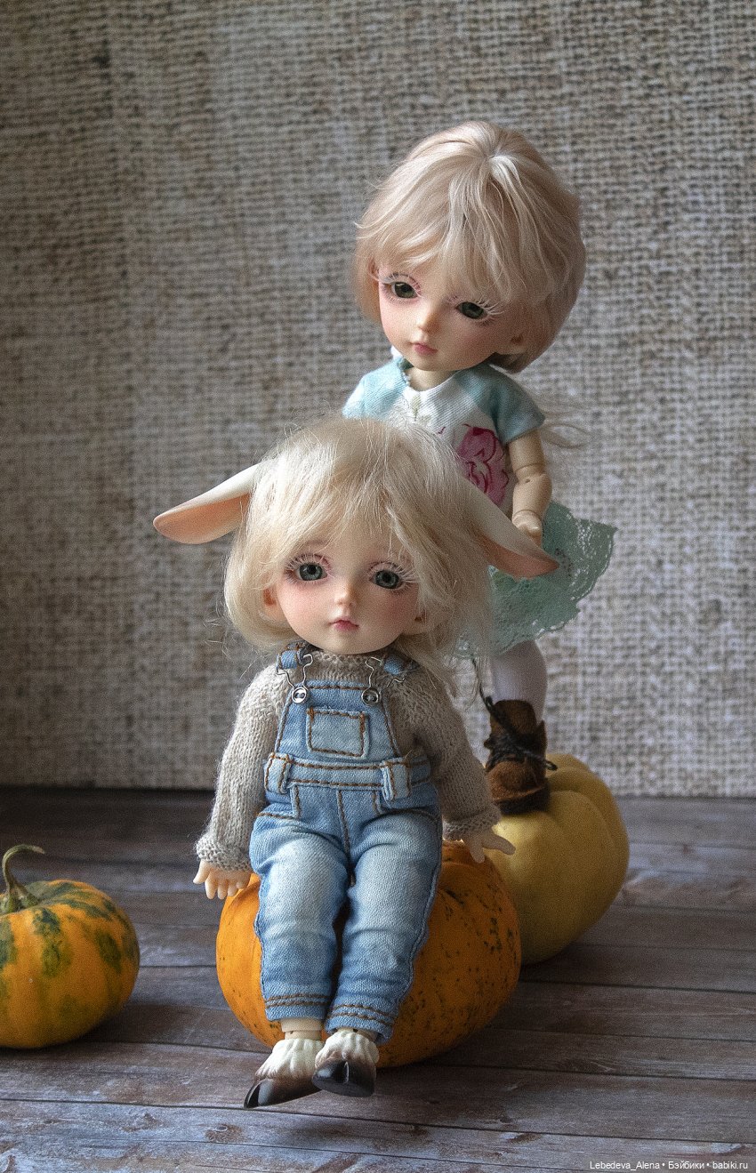 А я ему говорила | Бэйбики А я ему говорила — Куклы Fairyland (ФэйриЛэнд): BJD (БЖД) (фото 3)