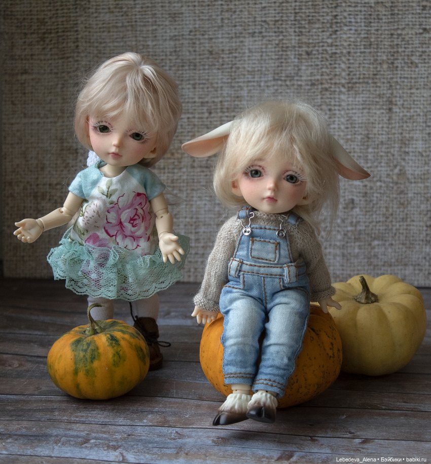 А я ему говорила | Бэйбики А я ему говорила — Куклы Fairyland (ФэйриЛэнд): BJD (БЖД) (фото 2)