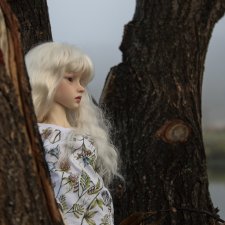 Туманная осень