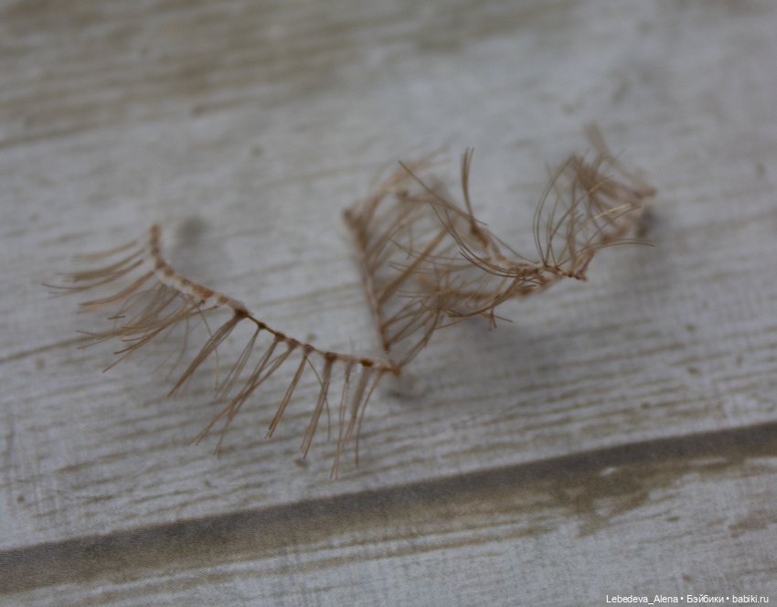 Работа над химочкой - пластина и голова (фото 6)