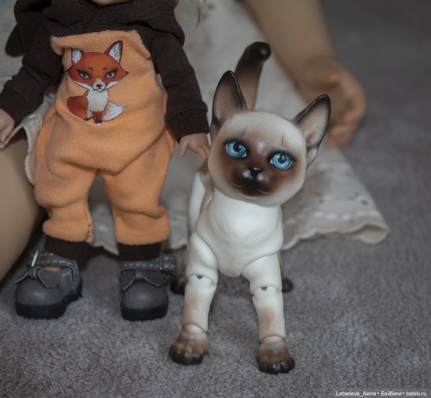 Моя любовь. Познакомимся — Болталка и разговоры обо всем: жизнь (фото 2)