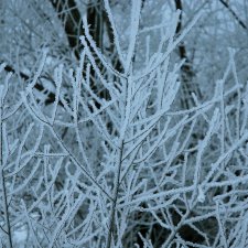 Подводя итоги года