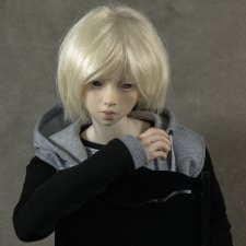 Модель Микко