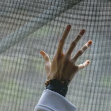 Мой старый дом