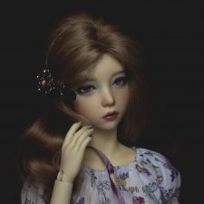 Новенькая Сойка