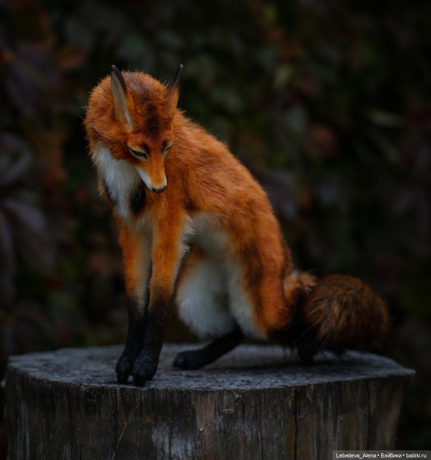 Не прошло и полгода — Разные куклы BJD (БЖД): редкие бренды