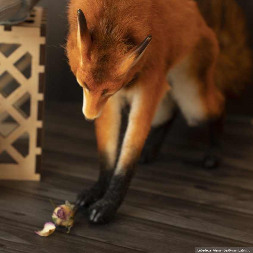 Приручение — Куклы Dollshe Craft (Доллше): BJD (БЖД) (фото 5)