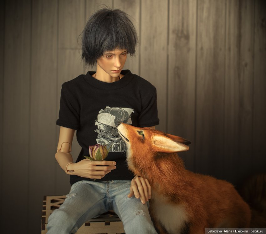 Приручение — Куклы Dollshe Craft (Доллше): BJD (БЖД)